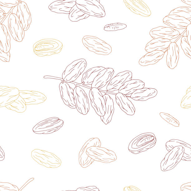 Date fruit graphic color seamless pattern background sketch illustration vector Date fruit graphic color seamless pattern background sketch illustration vector date fruit stock illustrations