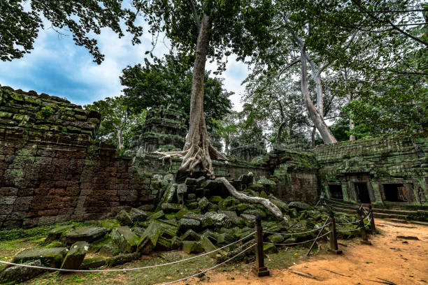 istock Tree Roots over the Temple walls 1150444147