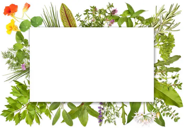 Photo of Blank label framed by herbs 1