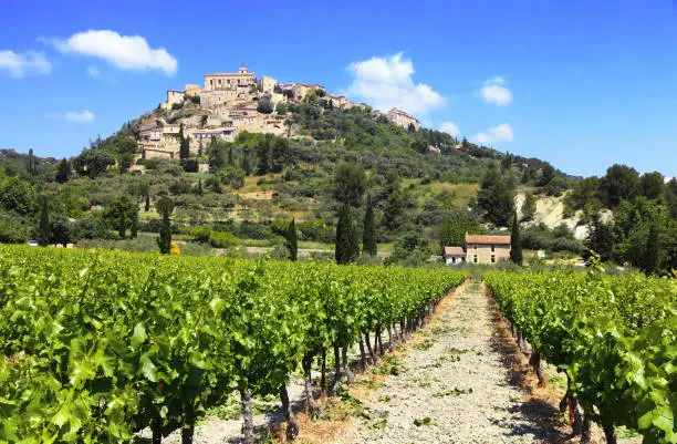 Vineyards facing the hill of the famous village of Gordes, in the Luberon.