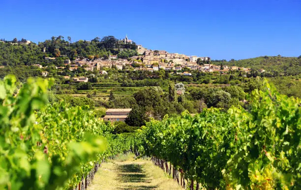 The famous vineyards of Luberon in front of the picturesque village of Bonnieux.