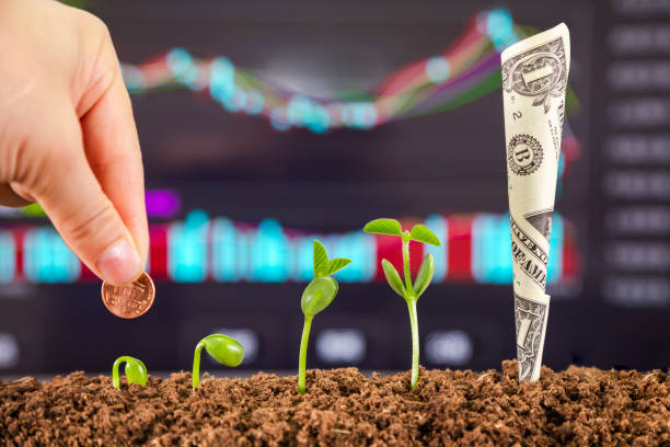 istock bussiness growth sequence:new life growing in spring 1150448931