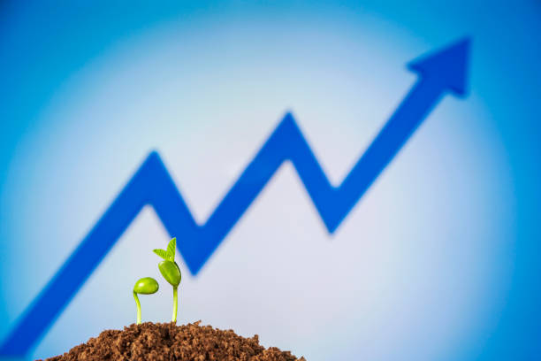 istock bussiness growth sequence:new life growing in spring 1150448950