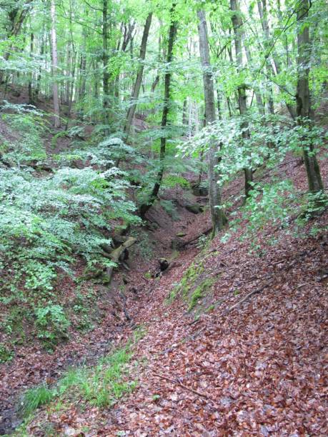 istock In the Seven Mill Valley (Baden-Württemberg) there are blades 1150449773