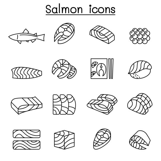 illustrations, cliparts, dessins animés et icônes de icône de poissons de saumon frais ensemble dans le style de ligne mince - sashimi