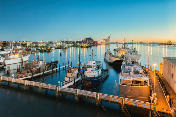 port tauranga, zatoka obfitości, nowa zelandia - tauranga zdjęcia i obrazy z banku zdjęć