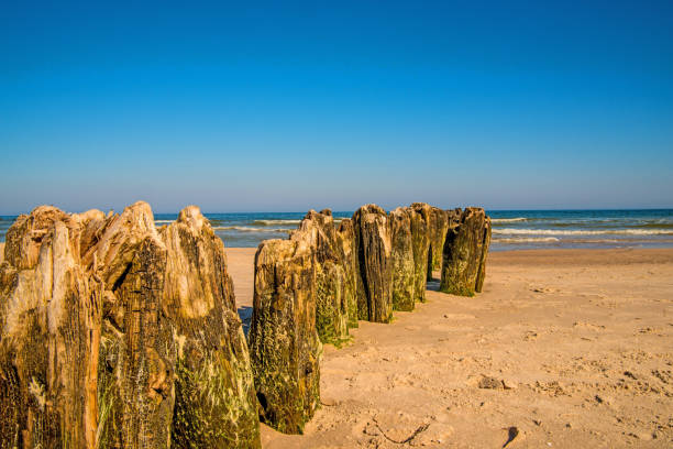 istock old groins in the Baltic Sea with blue sky 1150453496
