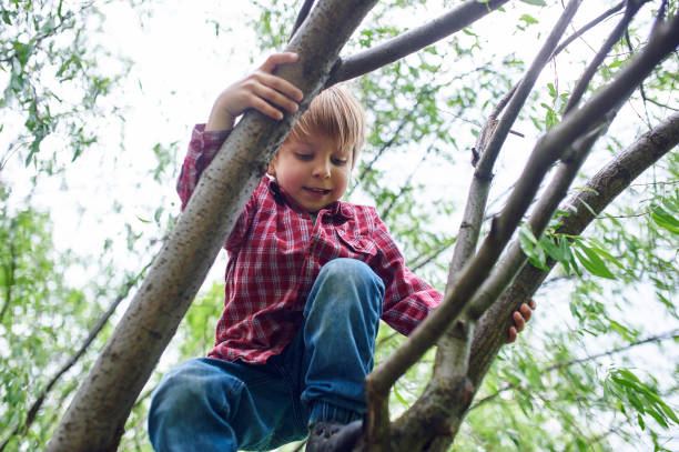 istock Outdoors portrait of cute preschool boy climbing a tree 1150455764