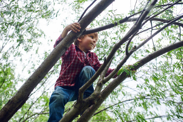 istock Outdoors portrait of cute preschool boy climbing a tree 1150455765