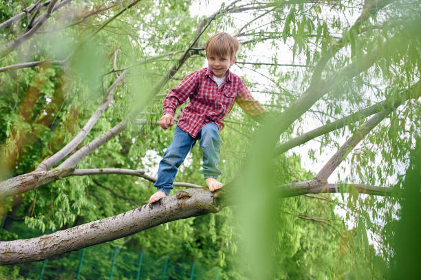 istock Outdoors portrait of cute preschool boy climbing a tree 1150455767