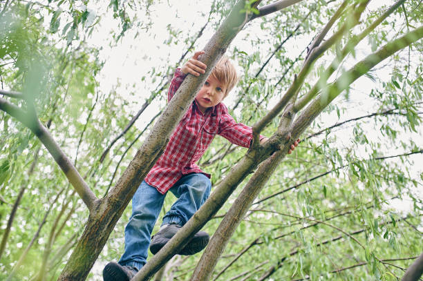 istock Outdoors portrait of cute preschool boy climbing a tree 1150455768