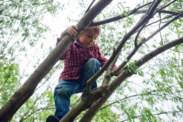 istock Outdoors portrait of cute preschool boy climbing a tree 1150455771