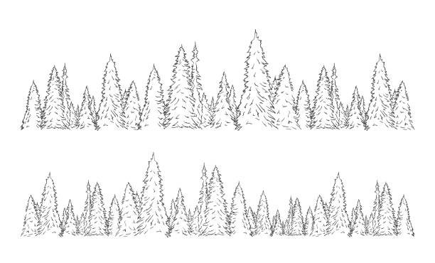 Set of two hand drawn sketch pine forest. Christmas banner template. Vector illustration: Set of two hand drawn sketch pine forest. Christmas banner template. camping drawings stock illustrations