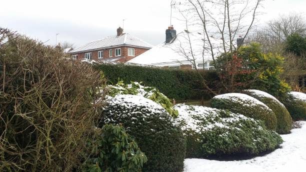 istock snow full on garden cool ad beautiful time 1150458754