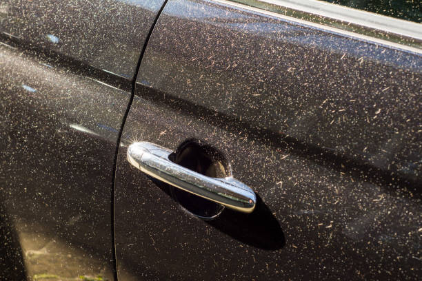 Dust and sand on black car Gedeelte van een deur van een zwarte auto met zilverkleurige handgreep waarin het zonlicht als een ster straalt. desert wash stock pictures, royalty-free photos & images