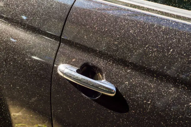 Gedeelte van een deur van een zwarte auto met zilverkleurige handgreep waarin het zonlicht als een ster straalt.