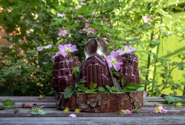 istock chocolate cake decorated with rosehip flowers 1150460020
