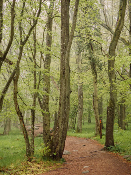 Stenshuvud national park beautiful landscape\nPhoto in summer in beautiful non urban scenery