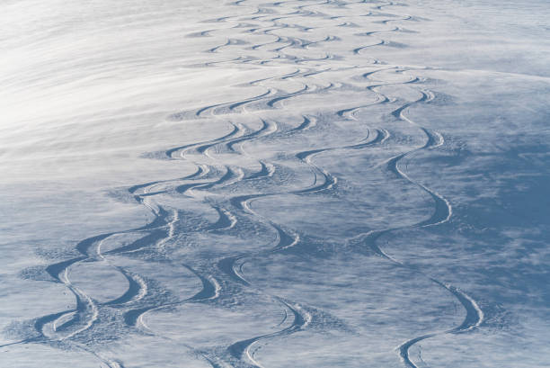 Several curving lines from skiers mark the slope