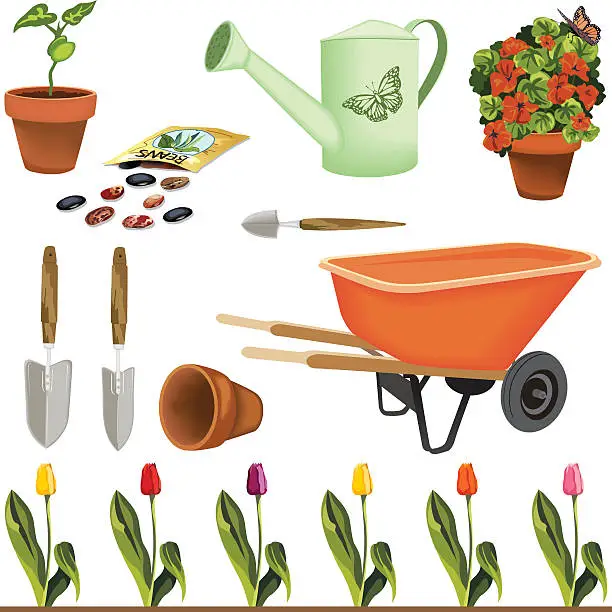 Vector illustration of Color Gardening Elements Set - Seeds,Plants,Tools and Flowers