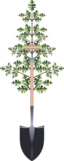 Arbor Day Oak Tree Earth Day Symbol for tree planting. Arbor Day stock illustrations