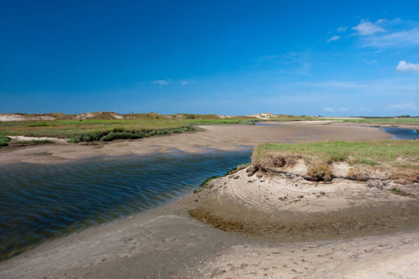 istock View to Het Zwin, Belgium 1150468077