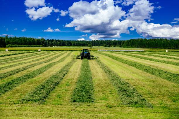 Aerial view of Tractor mowing green field in Finland. Aerial view of Tractor mowing green field in summer Finland. tractor mowing stock pictures, royalty-free photos & images