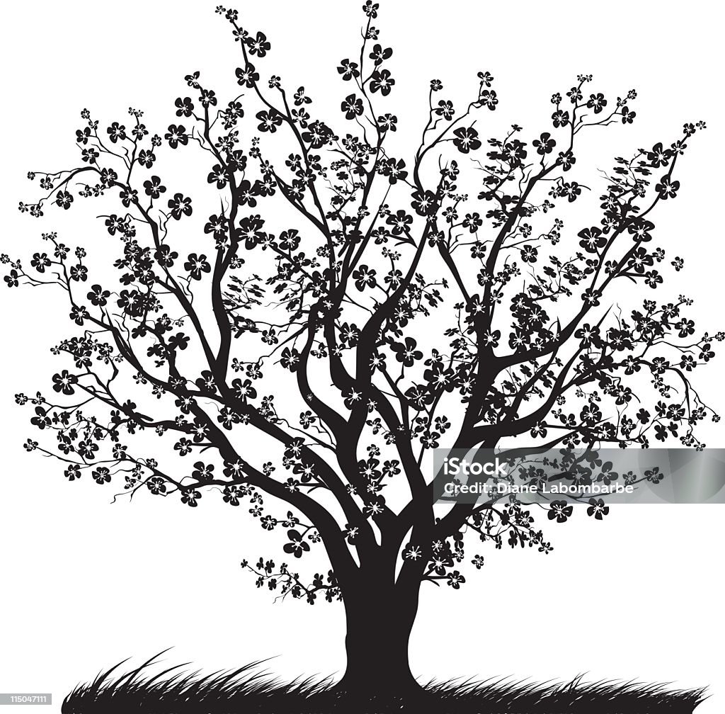 Cerezo con cerezos en flor en plena floración Silueta negra - arte vectorial de Cerezo libre de derechos