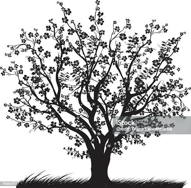Ilustración de Cerezo Con Cerezos En Flor En Plena Floración Silueta Negra y más Vectores Libres de Derechos de Cerezo