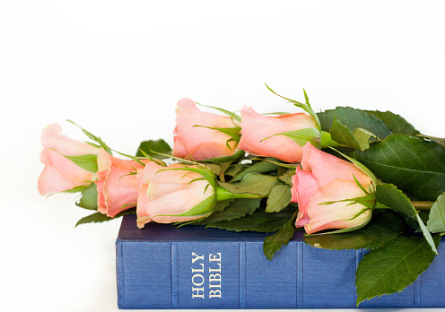 Peach Roses and Bible