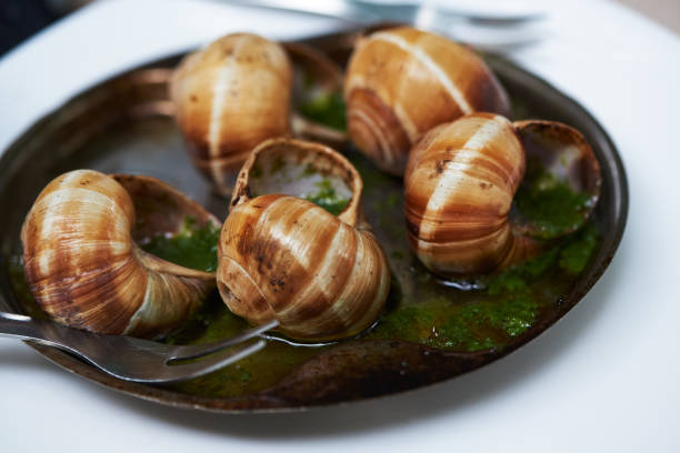 vue rapprochée des escargots cuits au beurre d’ail - garlic butter snail garlic herb photos et images de collection