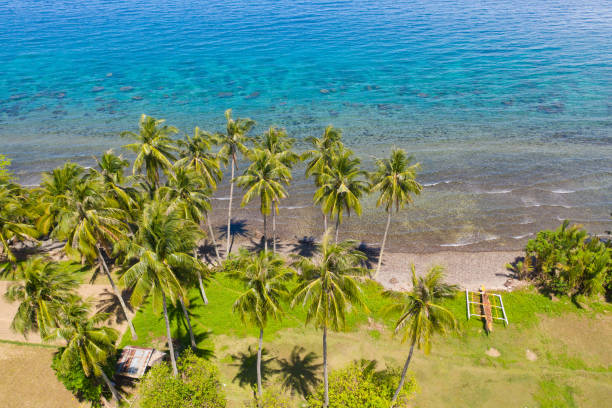 istock Landscape with coconut trees and turquoise lagoon, view from above 1150472169