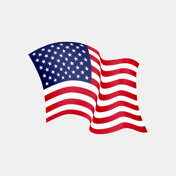 미국 국기를 흔들며. 벡터 일러스트입니다. 우리는 깃발을 흔들며. 성조기가 당황. 바람에 오래 된 영광 - 흰색 배경 일러스트 stock illustrations
