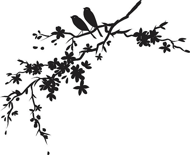 ilustrações, clipart, desenhos animados e ícones de dois pequenos pássaros, sentado no galho silhueta de flores de cereja preta - tree bird flower pattern