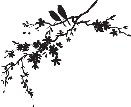 Two little birds sitting on Cherry blossoms branch silhouette. Cherry blossoms Sparrows & Sakura.  Black Sparrow and Cherry Blossoms Branch Silhouette. Cherry blossom branch with flowers in bloom.  The cherry blossom flowers are various sizes.  The branches has lots of detail and a full bloom flowers.