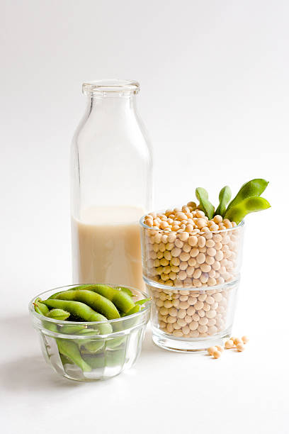 leche de soja concepto con fibra de vidrio de soja suelto completo - soybean merchandise soy milk milk fotografías e imágenes de stock
