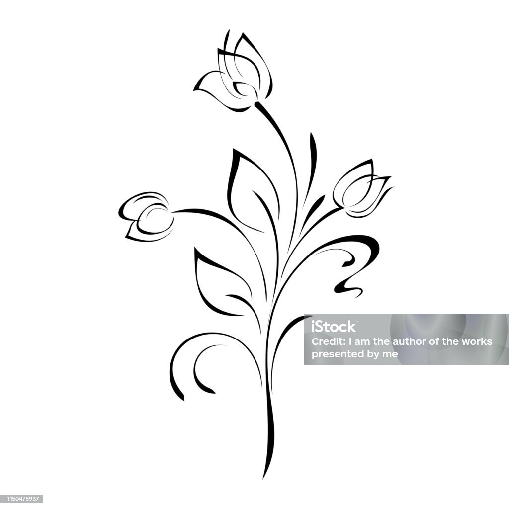 ornament 666 stylized flower twig with three buds, leaves and curls in black lines on white background Beauty stock vector