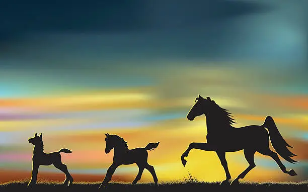 Vector illustration of Horses at Dawn