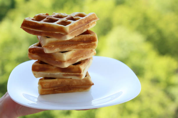 istock Belgian waffles on green nature background 1150477067