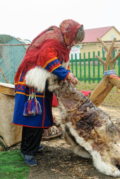 Nenets woman processes cervine skin stock photo