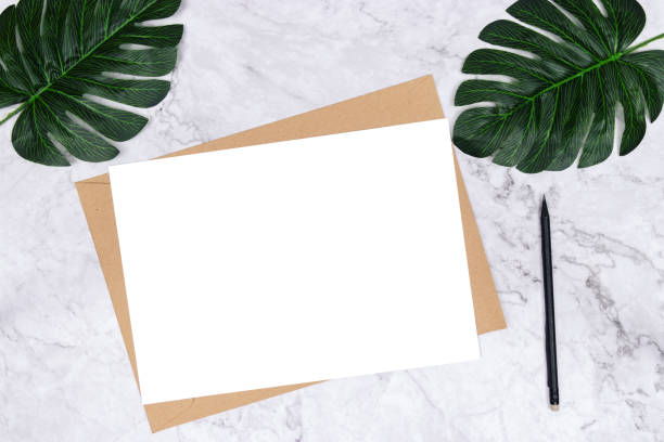 istock blank white paper size A4 on brown paper envelope on white marble background with green palm leaf on desk for decoration. minimalist flat lay, top view. 1150482935