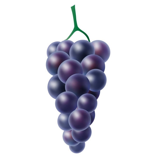 istock Realistic branch of purple grapes on a white background 1150483589