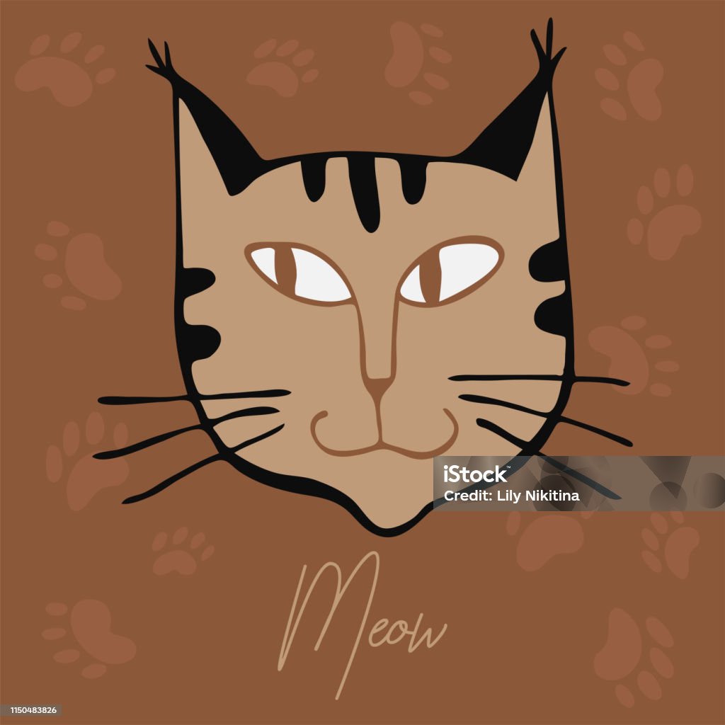 Cats outline head Cats outline head vector illustration hand drawing Animal stock vector