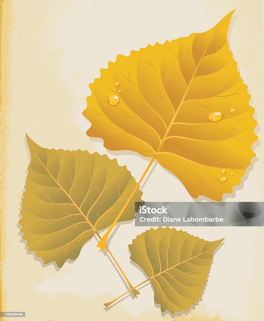 ヴィンテージ紙、秋のポプラの葉 - イラストレーションのロイヤリティフリーベクトルアート