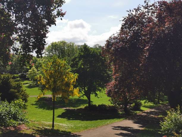 istock Avenham and Miller Park, Preston 1150487317