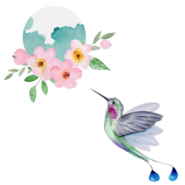 istock Watercolor Hummingbird Flying Around the Cherry Blossoms Flowers. 1150487672