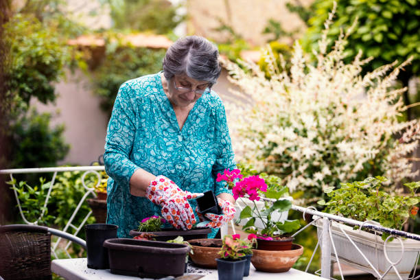 istock Senior Woman Gardening 1150489148