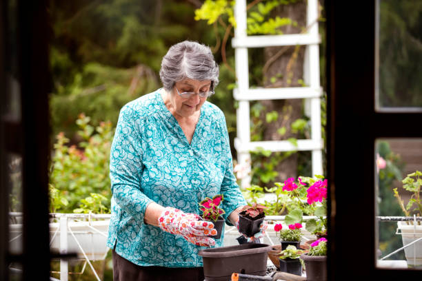 istock Senior Woman Gardening 1150489149