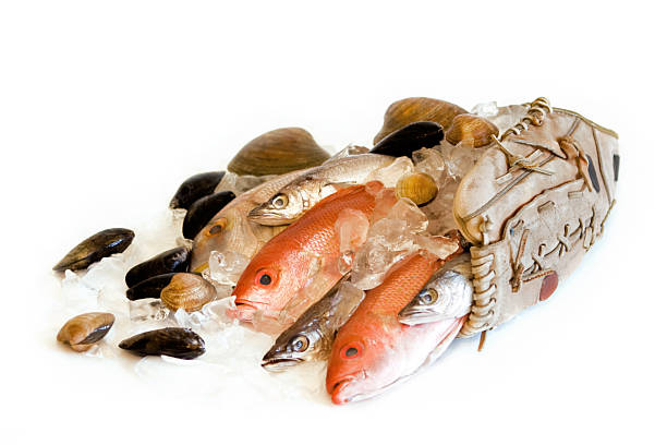 prise de la journée - fish catch of fish seafood red snapper photos et images de collection
