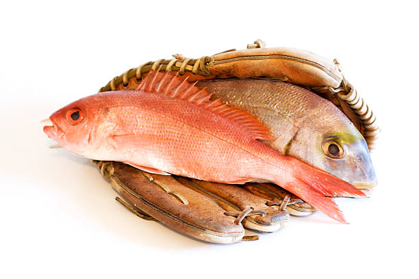 prise du jour. - fish catch of fish seafood red snapper photos et images de collection